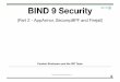 BIND 9 Security copy
