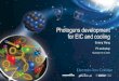 Photogunsdevelopment for EIC and cooling