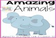 Amazing Animals - Buffalo Public Schools