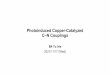 Photoinduced Copper-Catalyzed C–N Couplings