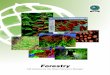 GIS for Forestry - esribulgaria.com