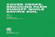 COVER CROPS: REDUCING FARM RUNOFF WHILE SAVING SOIL