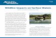 Wildfire Impacts on Surface Waters
