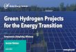 Green Hydrogen Projects for the Energy Transition