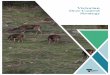 Victorian Deer Control Strategy