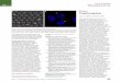Current Biology Magazine - University of Washington