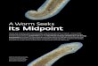 A Worm Seeks Its Midpoint - Max-Planck-Gesellschaft