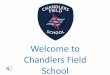 Welcome to Chandlers Field School