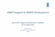 UNDP Support to NAMA Development