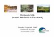Wetlands 101: Intro to Wetlands & Permitting
