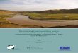 Developing transboundary water resources: What 