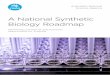 A National Synthetic Biology Roadmap