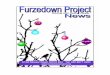 The Furzedown Project
