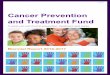 Cancer Prevention and Treatment Fund