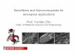 Nanofibers and Nanocomposites for aerospace applications 