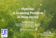 Hydrilla: A Growing Problem in New Jersey