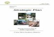 Fiscal Years 2010-15 Strategic Plan