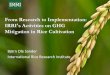 IRRI's activities on greenhouse gas mitigation in rice 