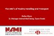 The ABC’s of Poultry Handling and Transport