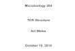 Microbiology 204 TCR Structure Art Weiss October 10, 2018