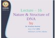 Lecture 16 Nature & Structure of DNA