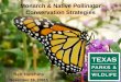 Monarch & Native Pollinator Conservation Strategies