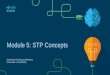 Module 5: STP Concepts