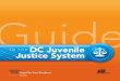 T O T H E DC Juvenile Justice System - Court Excellence