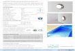 Base Plate Diameter 150mm Published Online Y/N?: Input 