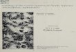 Catalog of the Cinara species of North America (Homoptera 