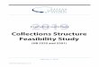 Budget Note: Collections Structure Feasibility Study