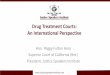 Drug Treatment Courts: An International Perspective