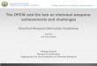 The OPCW and the ban on chemical weapons: achievements and 