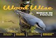 Wood Wise - Woodland Trust
