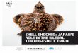 SHELL SHOCKED: JAPAN'S ROLE IN THE ILLEGAL TORTOISESHELL TRADE