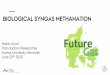 BIOLOGICAL SYNGAS METHANATION - Gas as part of the green 