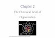 The Chemical Level of Organization - files.campuslogin.com