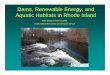 Dams, Renewable Energy, and Aquatic Habitats in Rhode Island