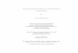 Design and Performance Evaluation of a New Spatial Reuse 