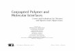 Conjugated Polymer and Molecular Interfaces
