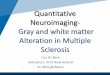 Quantitative Neuroimaging- Gray and white matter 