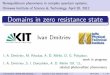 Domains in zero resistance state - OIST Groups