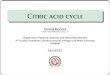 Citric acid cycle - cuni.cz