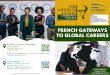 French Caribbean Brochure