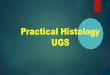 Practical Histology UGS - JU Medicine