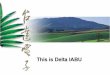 Delta IBUA presentation -2009 Q2 [Режим ... - VFD