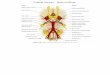 Cranial Nerves – Base of Brain