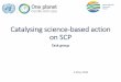 Catalysing science-based action on SCP