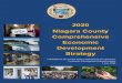 2020 Niagara County Comprehensive Economic Development 
