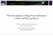 The European X-Ray Free Electron Laser (XFEL ... - EPN Campus